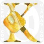 Kumquat  