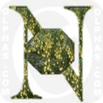 Neem  