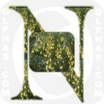 Neem  