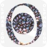 Oilpalm  