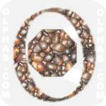 Oilpalm  