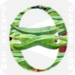 Okra