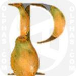 Pappaya