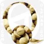 Queenslandnut  