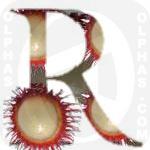 Rambutan cross