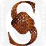 Salak  