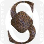 Salak  