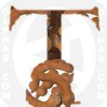 Tamarind