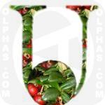 Ugni  