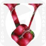 Vaccinium Vitis Idaea  