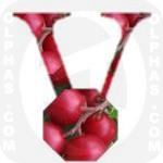 Vaccinium Vitis Idaea  