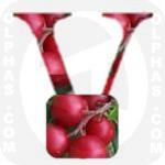 Vaccinium Vitis Idaea  