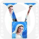 Virgin Mary S