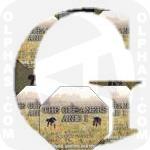 Gleaners and I 2000 