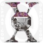 X Exterminating Angel 1962 