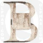 Battle Anghiari daVinci 