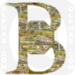 Bridge Pool Water Lilies CMonet 