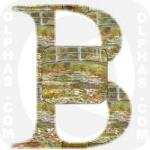 Bridge Pool Water Lilies CMonet 