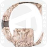 Cavalli Cavalieri daVinci 