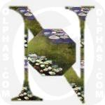 Nympheas Marmottan CMonet 