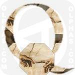 Q Creation Adam Michelangelo 