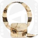 Q Creation Adam Michelangelo 