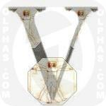 Vitruvian Man 1485 