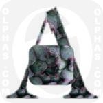 Artichoke  