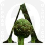 Artichoke