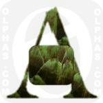 Artichoke  
