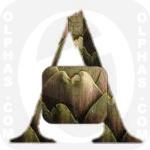 Artichoke  