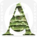 Asparagus  