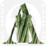 Asparagus