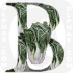 Bokchoy Napa