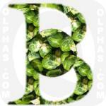 Brussels Sprouts  