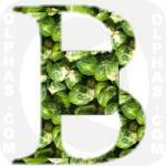 Brussels Sprouts  