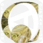 Cabbage  