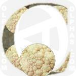 Cauliflower  
