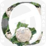 Cauliflower
