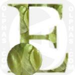 Endive  