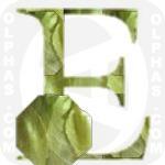 Endive  