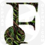 Fiddlehead Ferns  