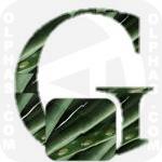Green Beans  