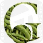 Green Beans  