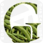 Green Beans  