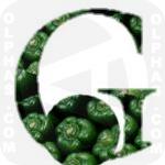 Green Pepper  