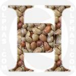 Horse Gram  