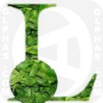 Leeks  