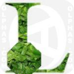 Leeks  