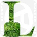 Leeks  
